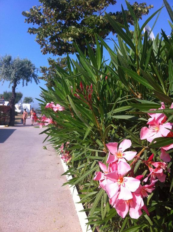 Happy Camping Village Bellaria-Igea Marina Luaran gambar